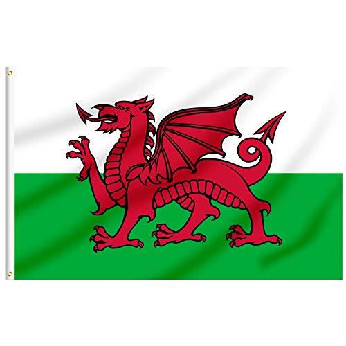Welsh Dragon Flag - 8ft x 5ft (150x240cm) Canvas with Eyelets for Indoors and Outdoors