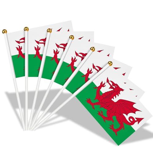 Welsh Flags on Sticks for St David's Day, 15Pcs Wales Welsh Dragon Hand Held Small Flags with 30cm White Poles for Six Nations Rugby World Cup Football Party Decoration (14 x 21 cm, 15 Pcs)